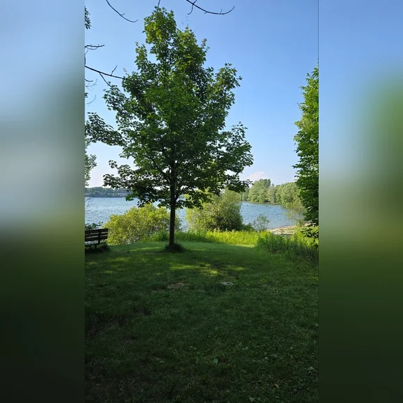 KINGSTON TRIP - Picture 5 of 14